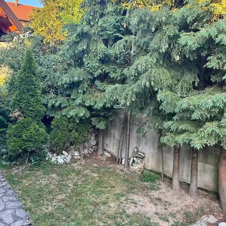 Meho&amra Sarajevo